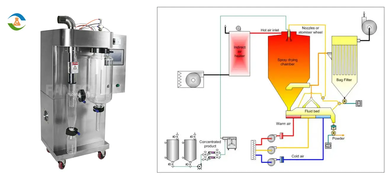 Spray Drying Process