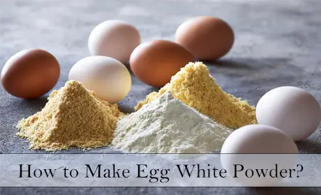 How to Make Egg White Powder at Home?